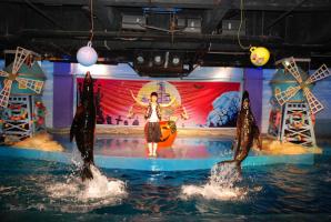 Harbin Polarland Performance 